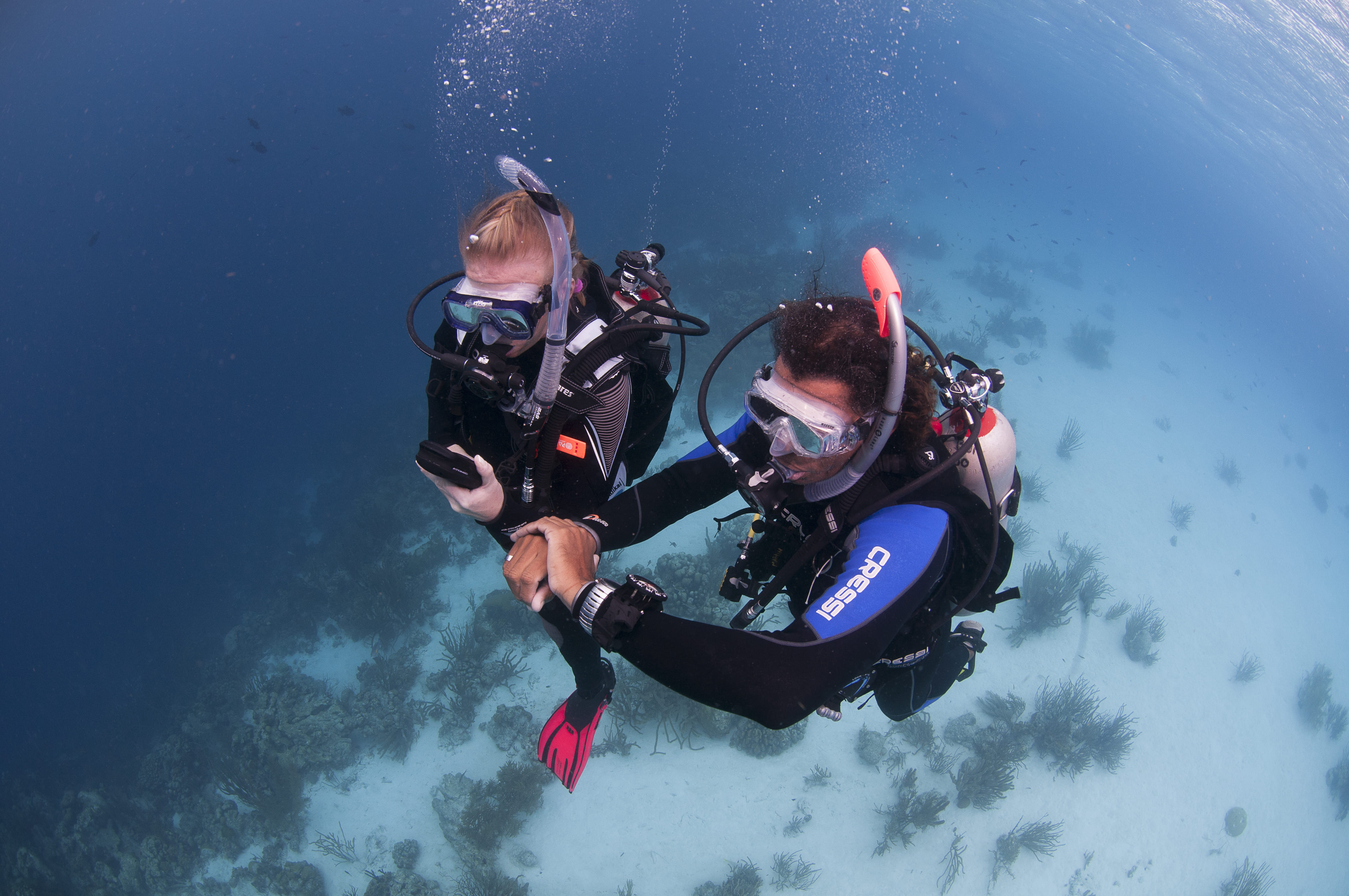 PADI Advanced Open Water Course in Dahab with Big Blue