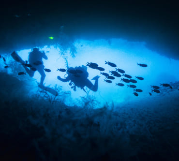 PADI Specialties