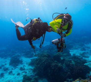 Discover Scuba Diving