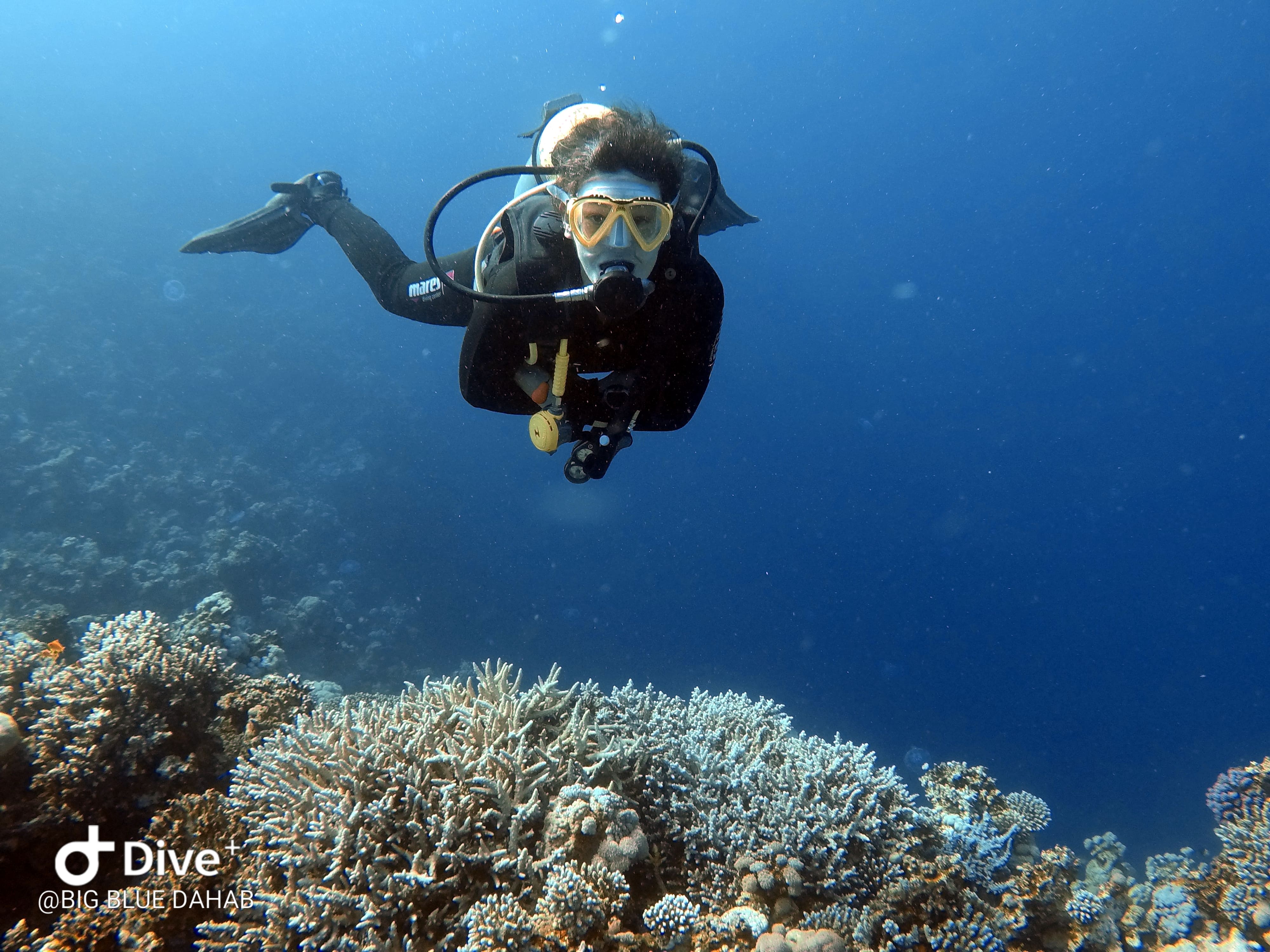 PADI Divemaster Course in Dahab with Big Blue