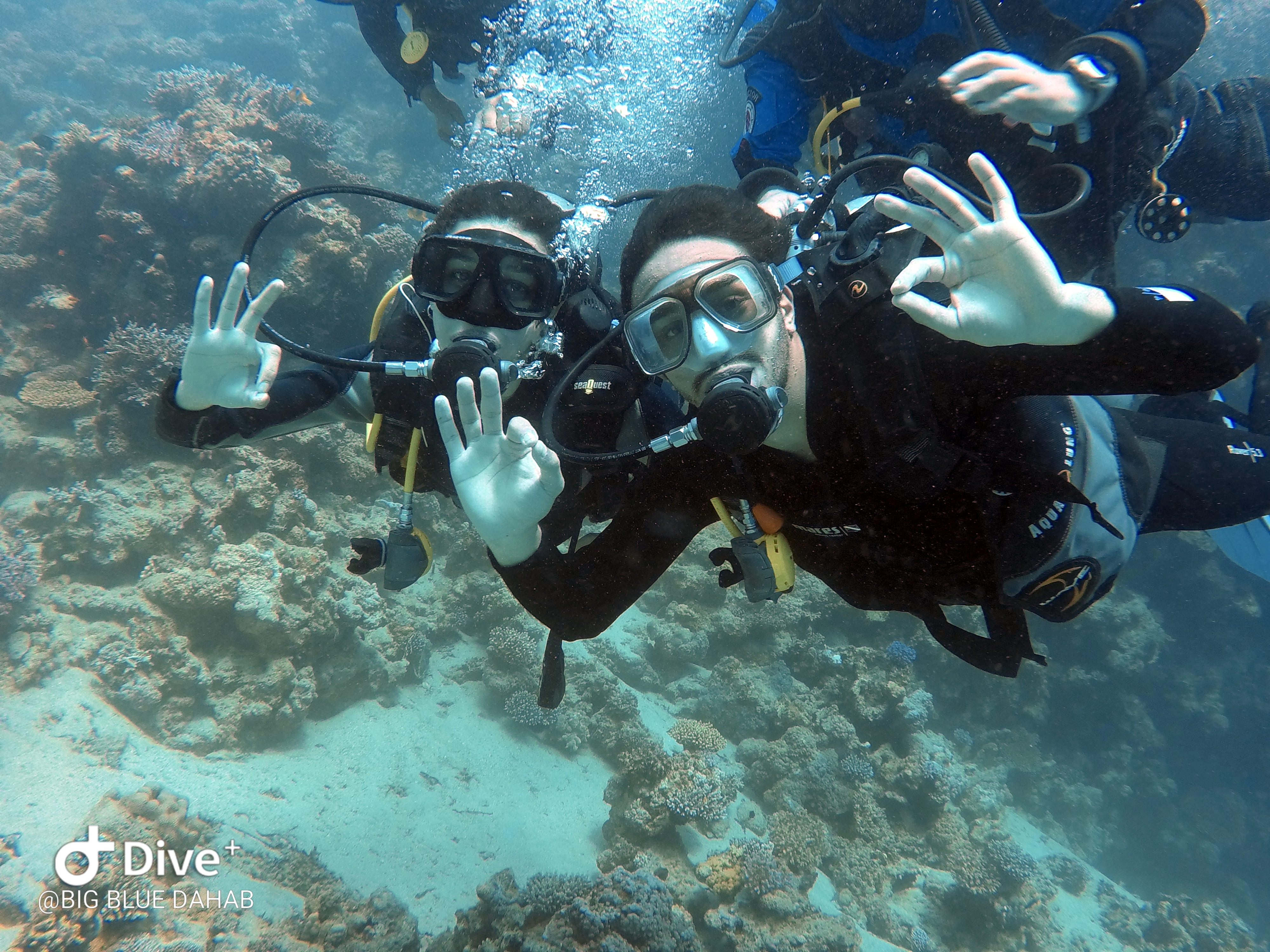 PADI Discover Scuba Diving at Big Blue Dahab
