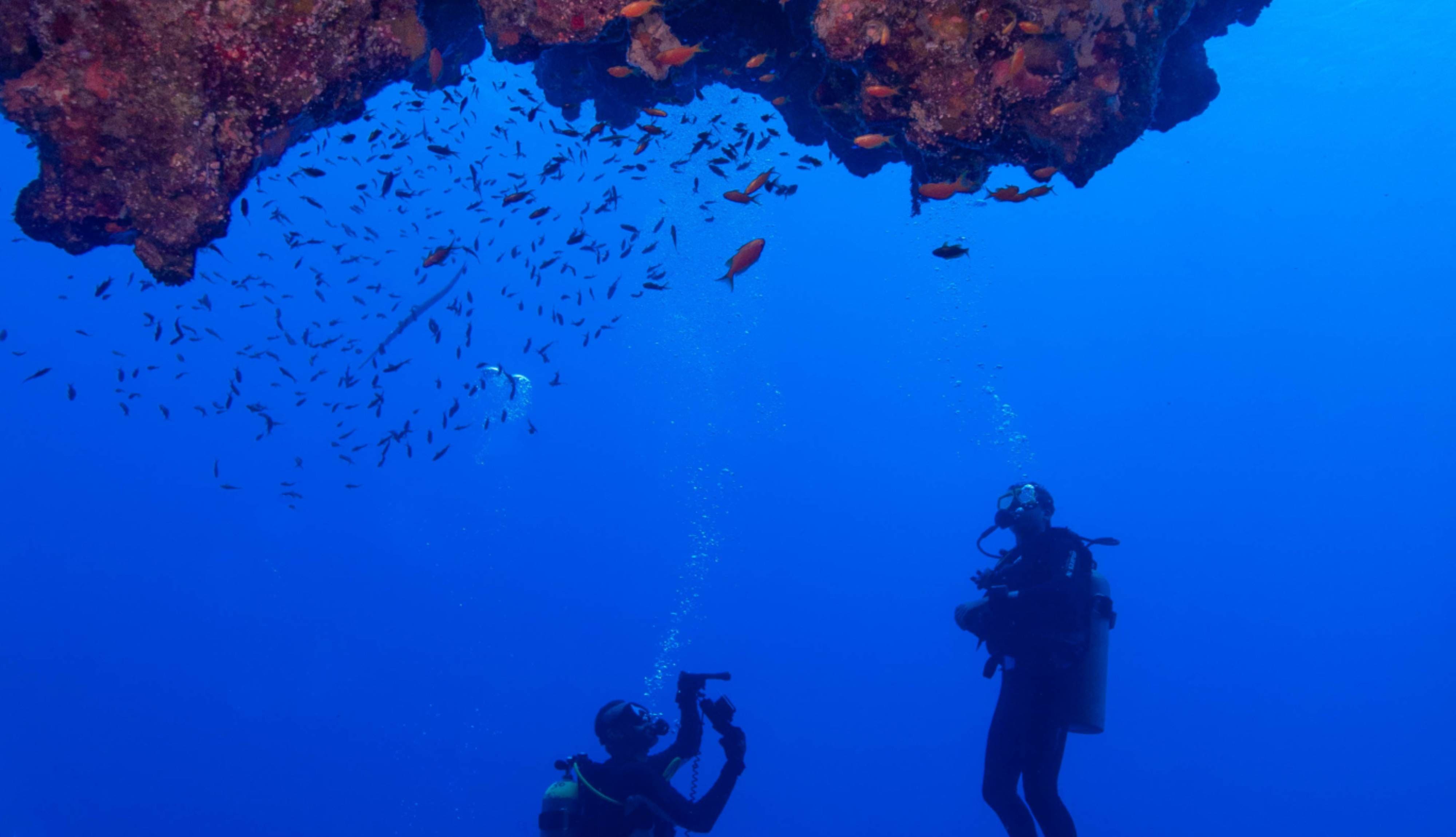 Photography Freshman Workshop at Big Blue Dahab