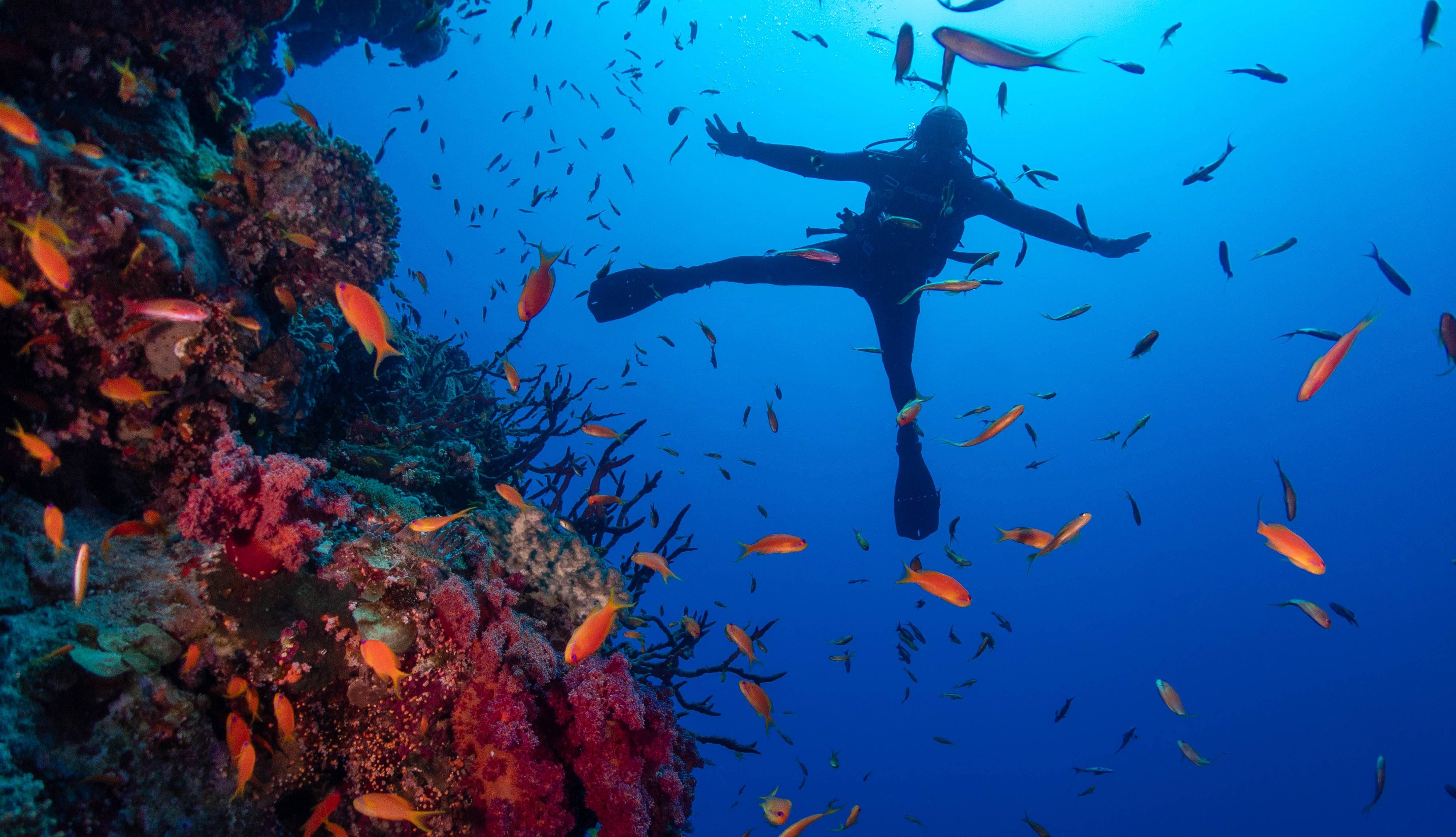 Blue Hole Wide-Angle Photography Workshop at Big Blue Dahab