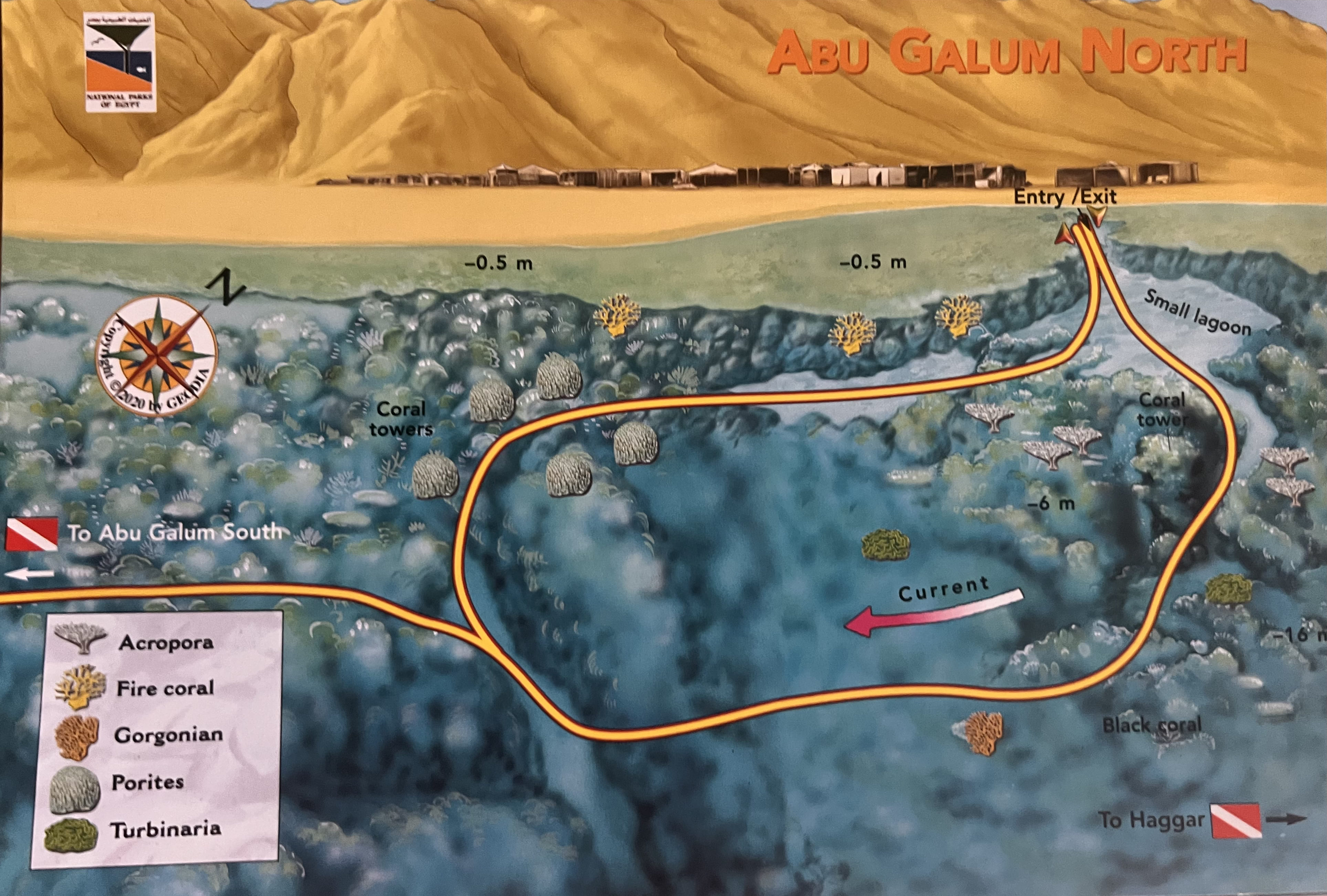 Abu Galum Dive Site in Dahab