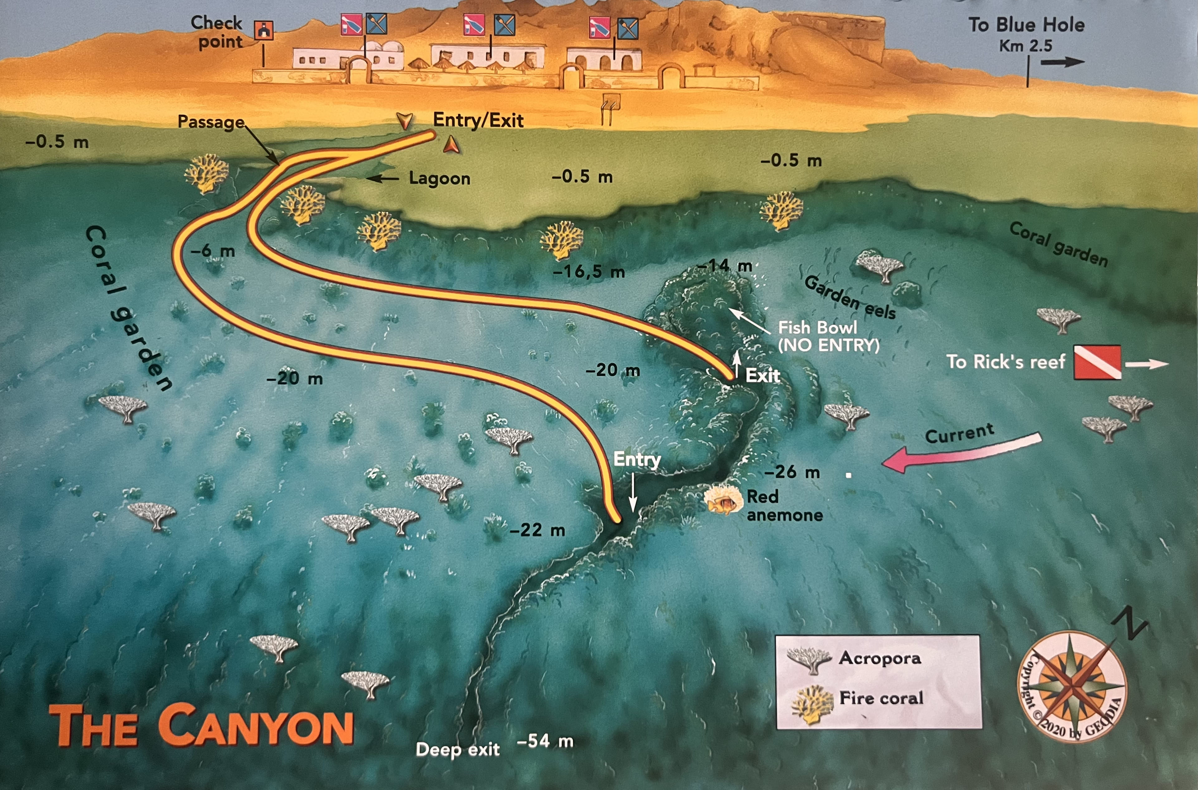 The Canyon Dive Site in Dahab