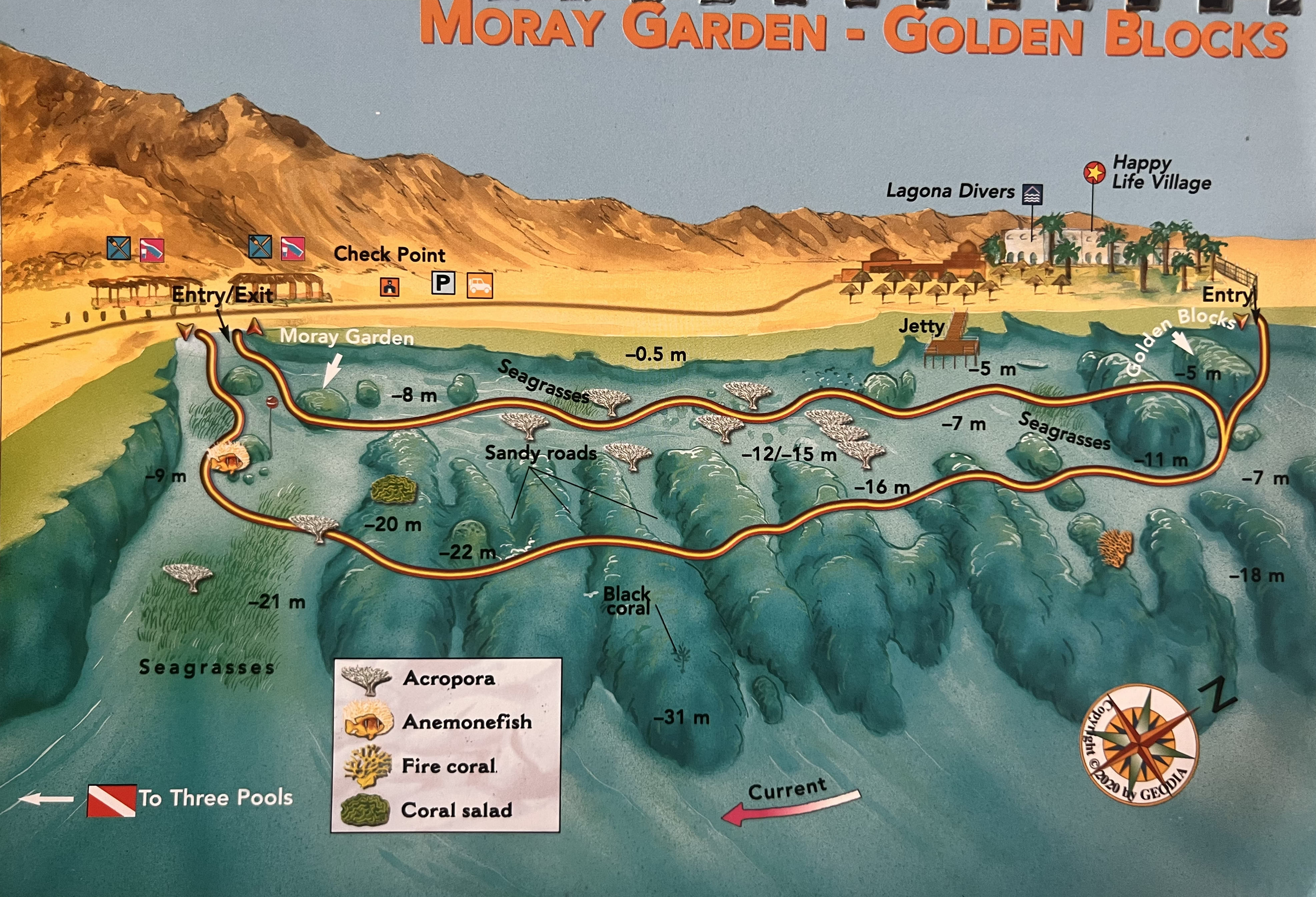 Moray Garden Dive Site in Dahab