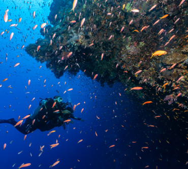 Blue Hole Dive Site Dahab