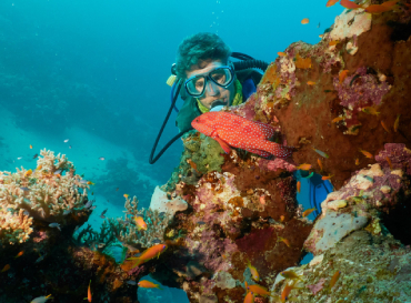 Diving center benefits in Dahab Egypt